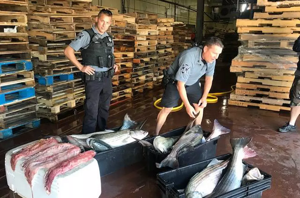 Mass. Environmental Police Seize Fish, Donate It to New Bedford Salvation Army