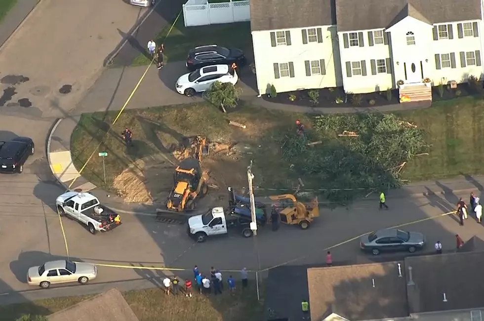 Police Digging in Taunton Yard, Possibly in Connection to Cold Case