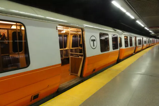 Furry Passenger Surprises Subway Riders