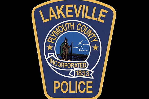 Police: Fleeing Suspect Hits Lakeville Officer with Car
