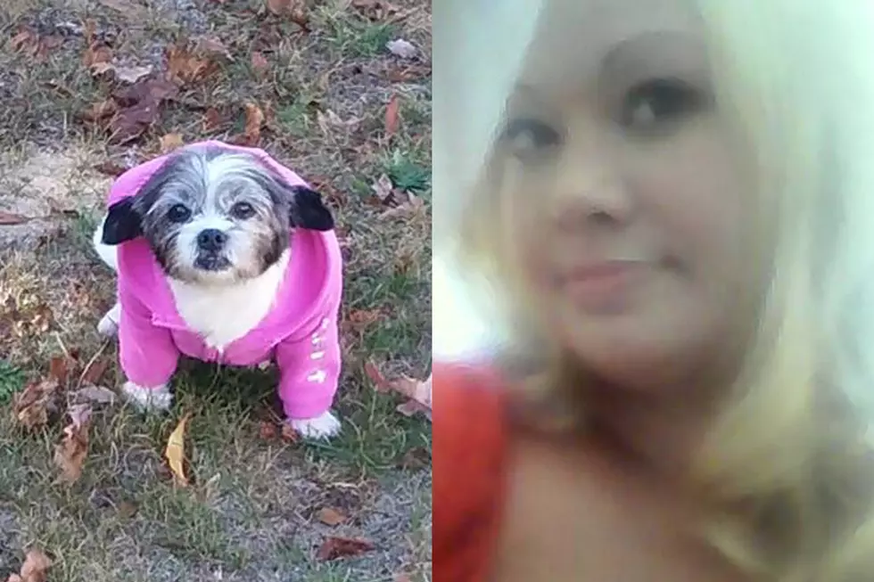 New Bedford Murder Victim’s Dog Survived Attack, Reward Offered