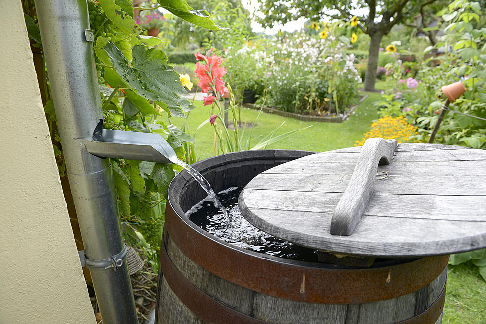 Rain Barrels Available at Discounted Rate for New Bedford Residents