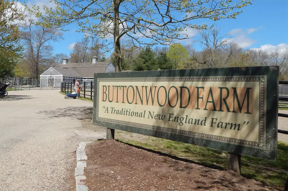 Buttonwood Park Zoo Barn to be Renovated for Classroom Space