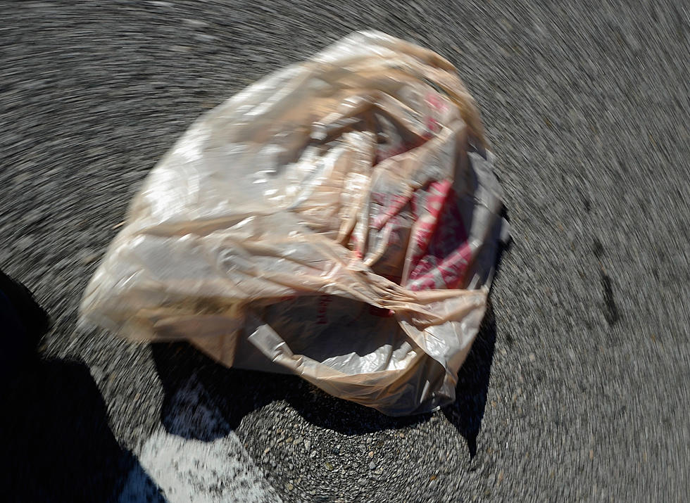 Bagged: Dartmouth Votes for Restrictions on Plastic Bag Use 