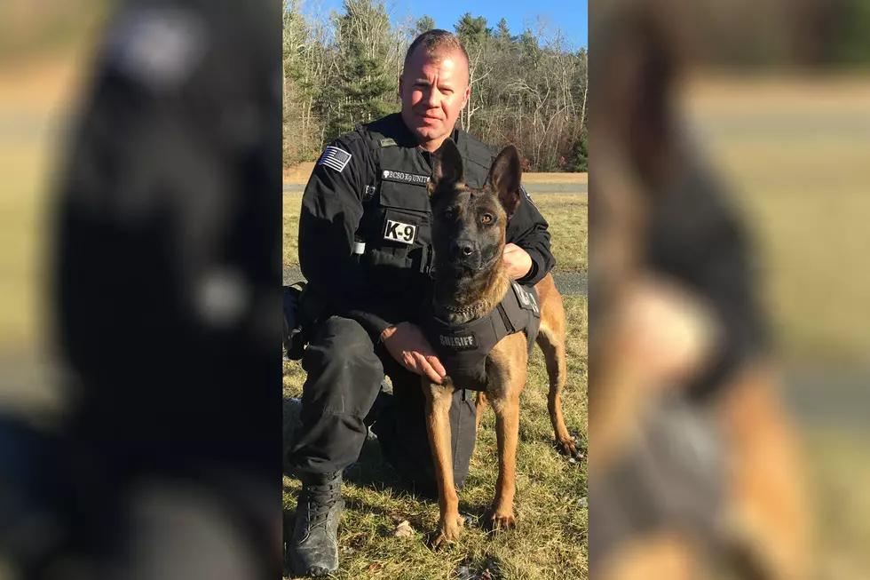 Bristol County Sheriff’s Office Retires One K9, Welcomes Another