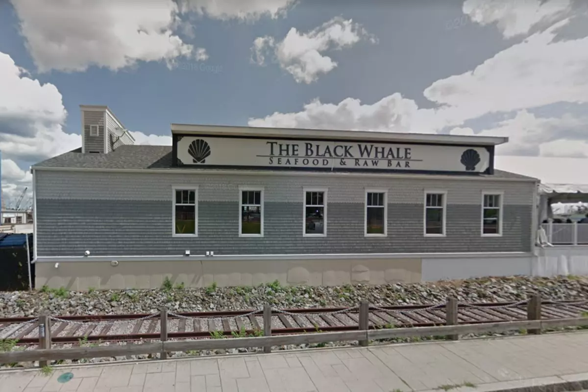 the black whale kitchen and bar