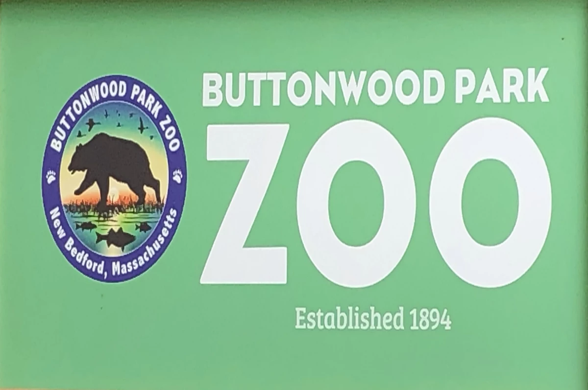 Buttonwood Park Zoo Taking Part In Plastic Free July Challenge