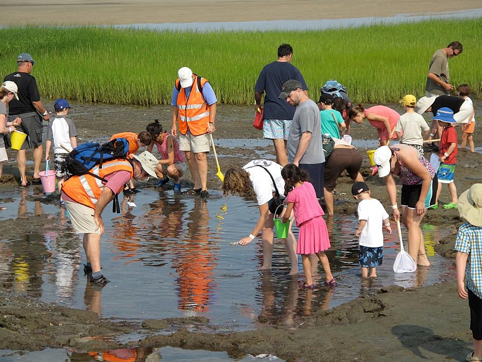 Visit Cape Cod Natural History Museum for Free [Free Fun Fridays]