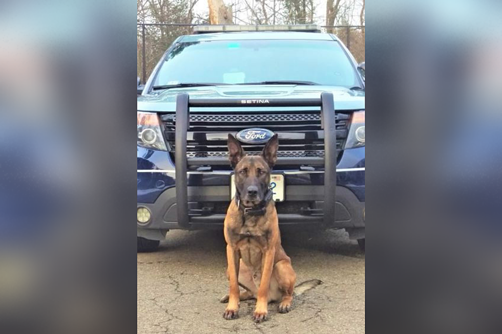 New Bedford Man Apprehended by State Police K9 Unit in Taunton