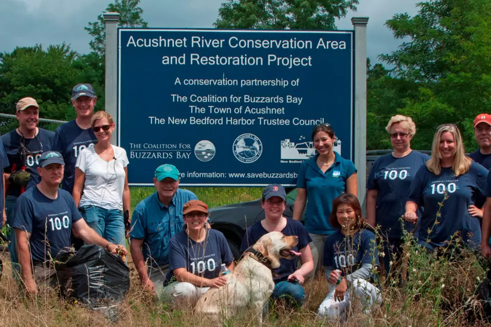 Volunteer with Land Stewardship Opportunities