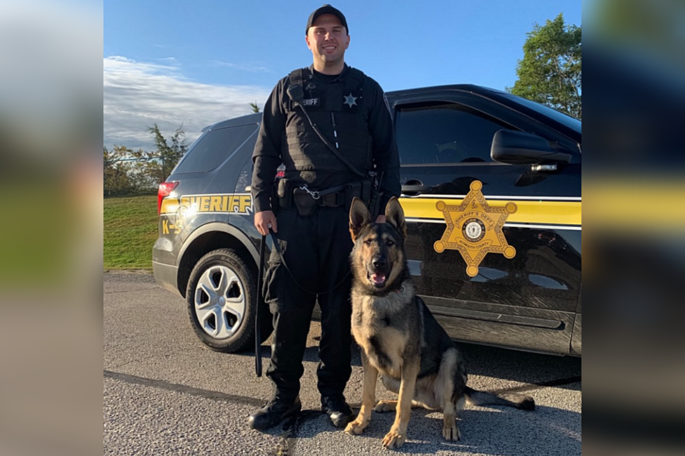 Plymouth County Sheriff K9 Locates Fleeing Suspect in Rochester