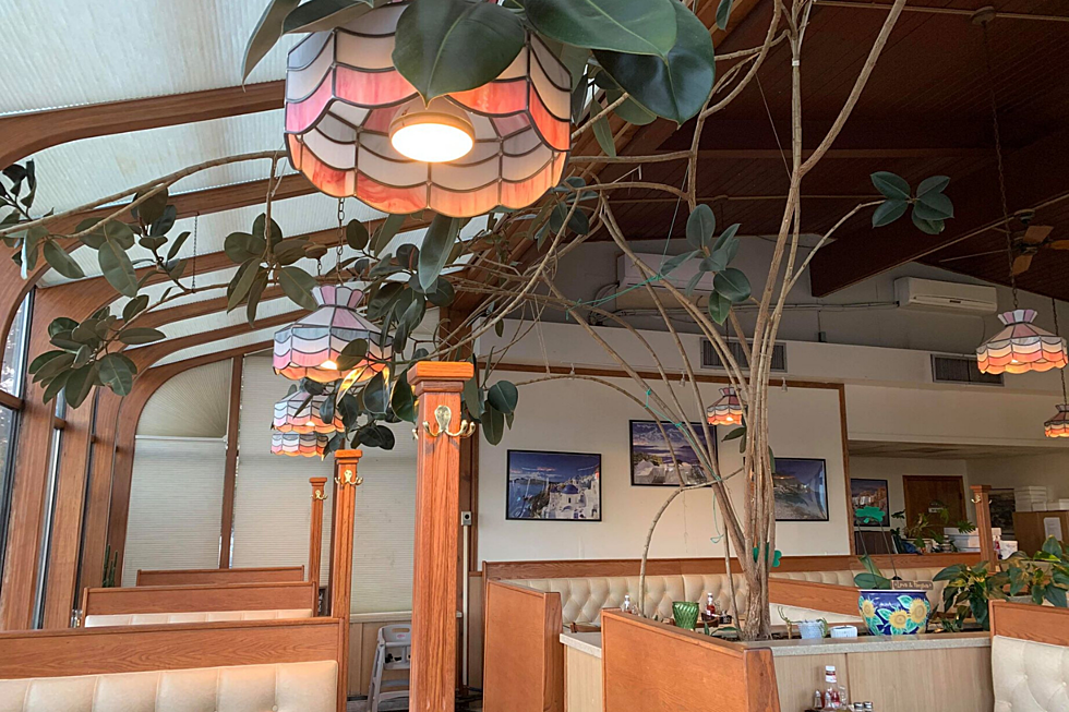 Nobody Questions a Tree Growing Inside This SouthCoast Restaurant