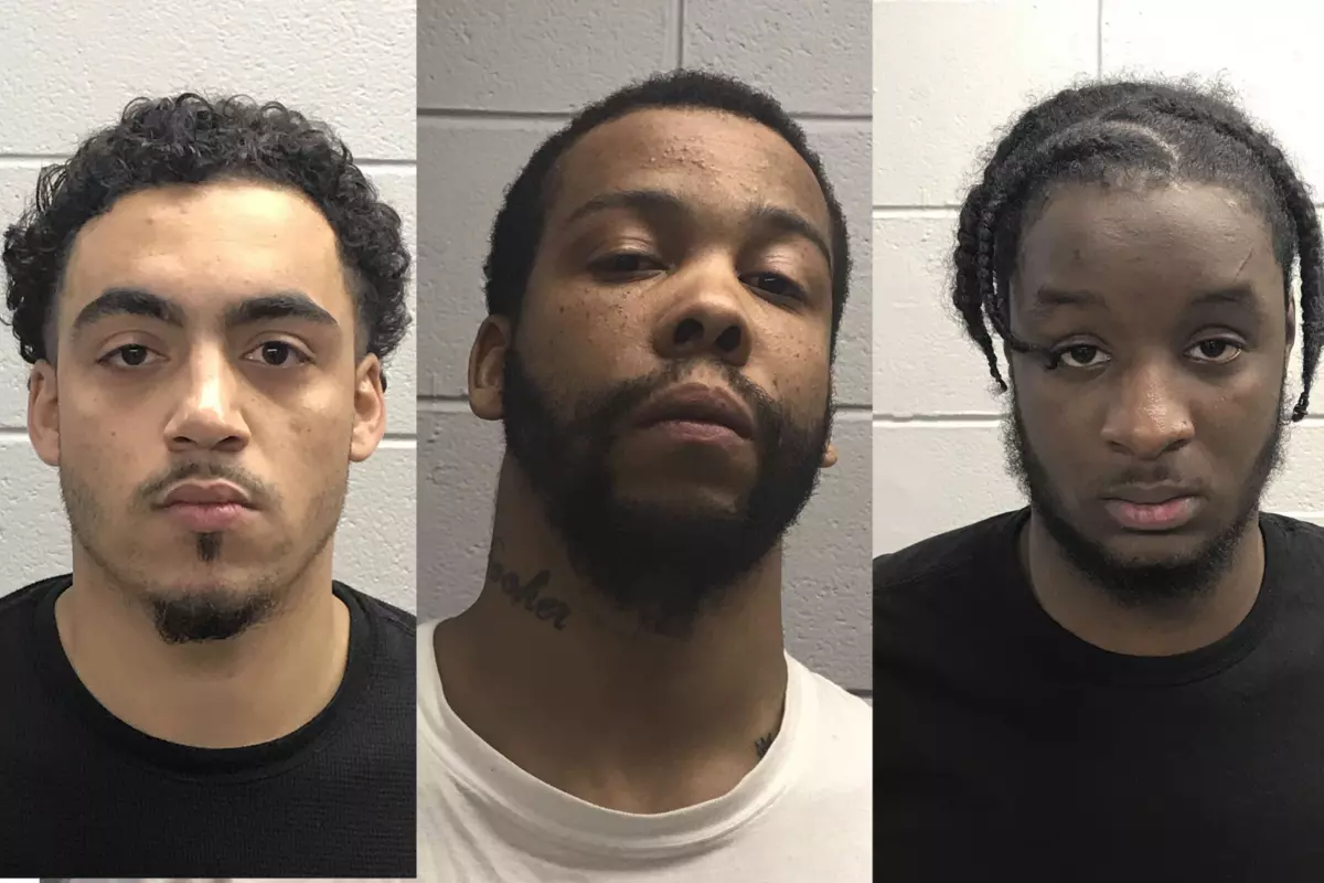 Police Arrest Wareham Housebreak Suspects Following Foot Chase