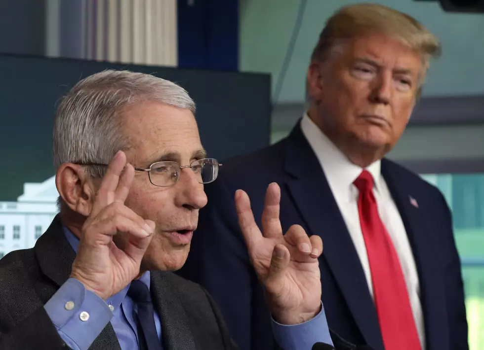 Trump-Fauci Tag Team Pins the Fake News Media [OPINION]