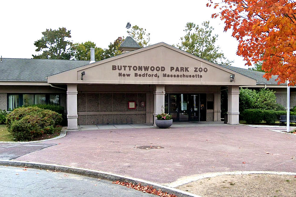 New Bedford's Buttonwood Park Zoo Will Accept Cash at the Gate