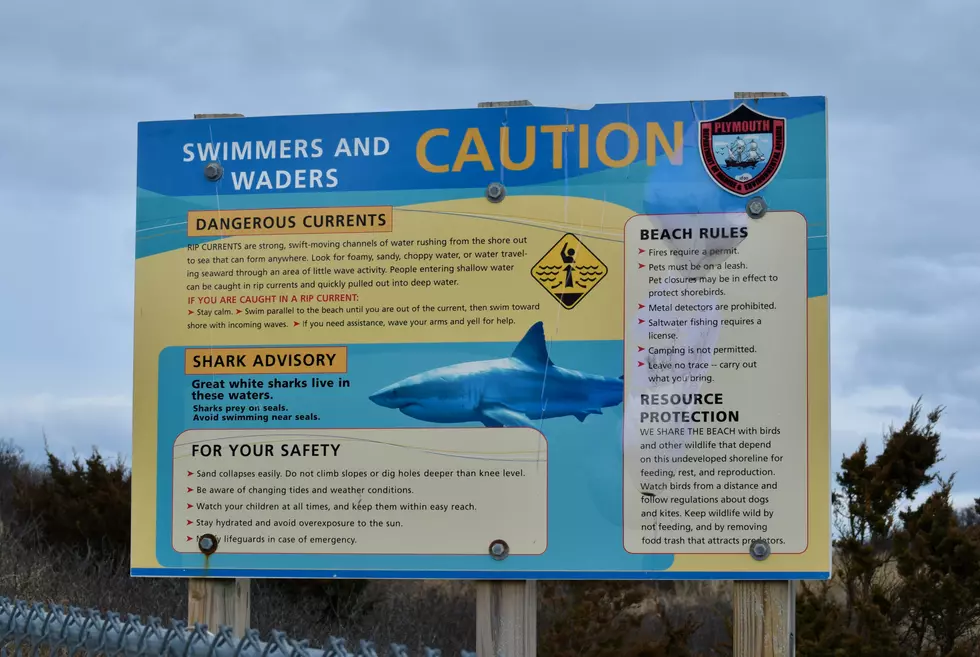 July 4th Shark Sighting Closes White Horse Beach in Plymouth