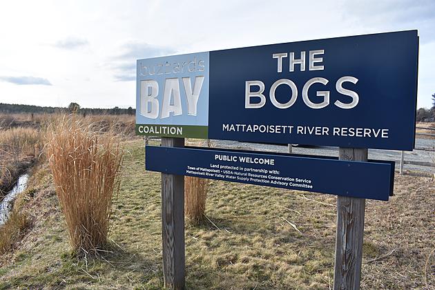 Public Meeting Set on Future of Mattapoisett Bogs