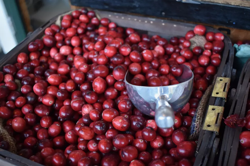 Baker Declares October ‘Massachusetts Cranberry Month’