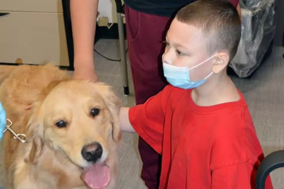 Gomes School Students Write Persuasive Essays to Get Therapy Dog