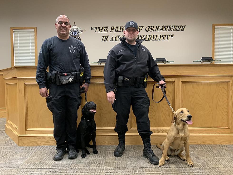 Bristol County Sheriff&#8217;s Office: We Have First COVID-Sniffing Canines in Country