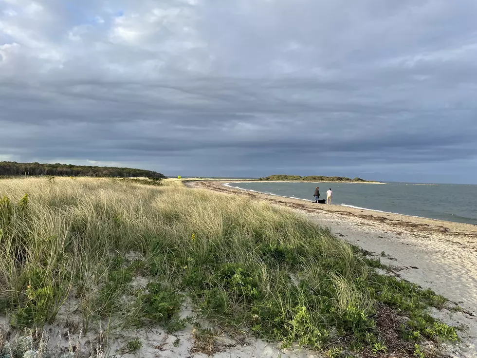 Best Massachusetts Beaches To Hunt For Seashells