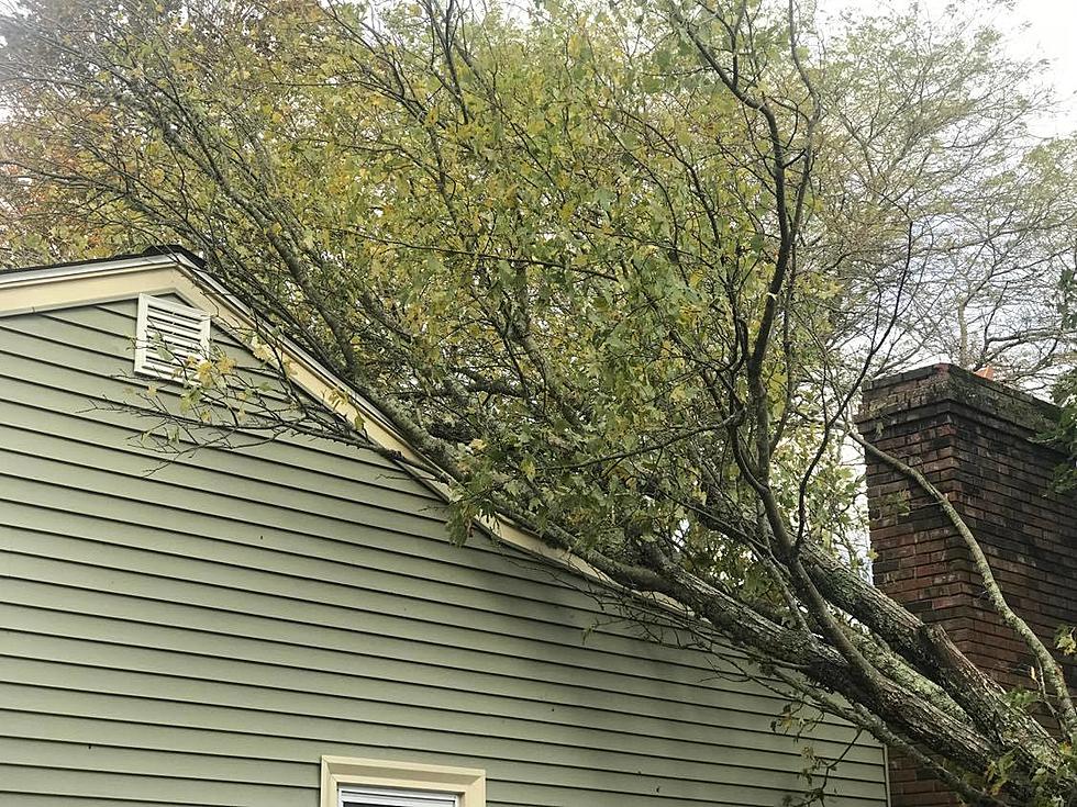 Thoroughly Document Storm Damage Before Filing Claim [OPINION]