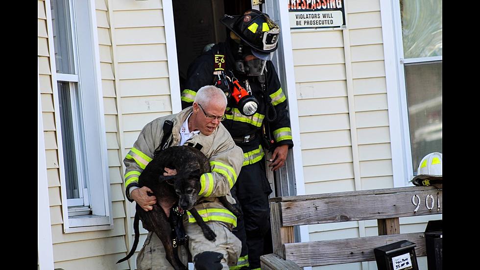 New Bedford Fire Chief Appointed