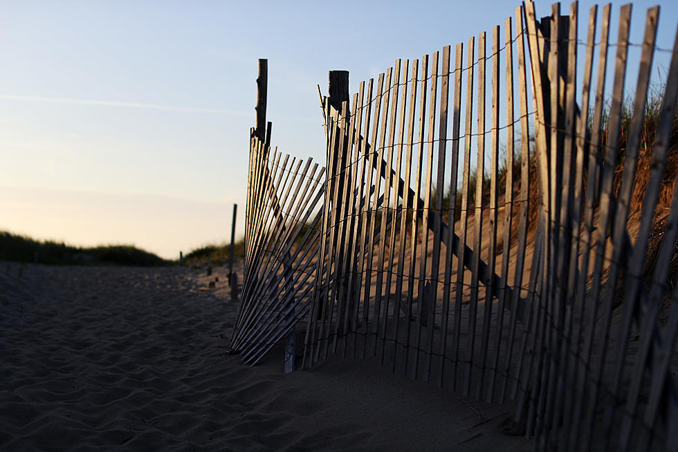 Provincetown Spot Allows You to See Whales Without the Boat Ride