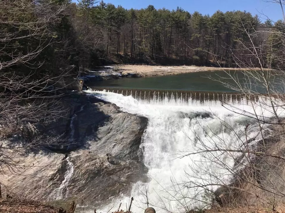 Don't let high gas prices and inflation spoil your summer plans. There are plenty of great daycation spots within driving distance for you and your family to enjoy.