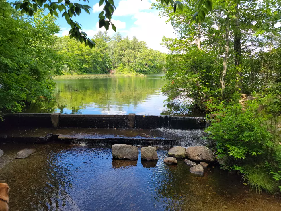 3 Stunning Massachusetts Hiking Trails You Can Complete in a Single Afternoon
