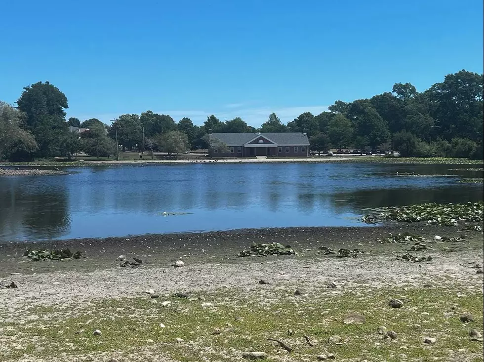 SouthCoast Watering Holes Are Drying As Severe Drought Worsens
