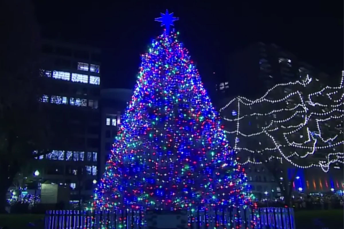 The Story Behind How Boston Gets Its Annual Christmas Tree