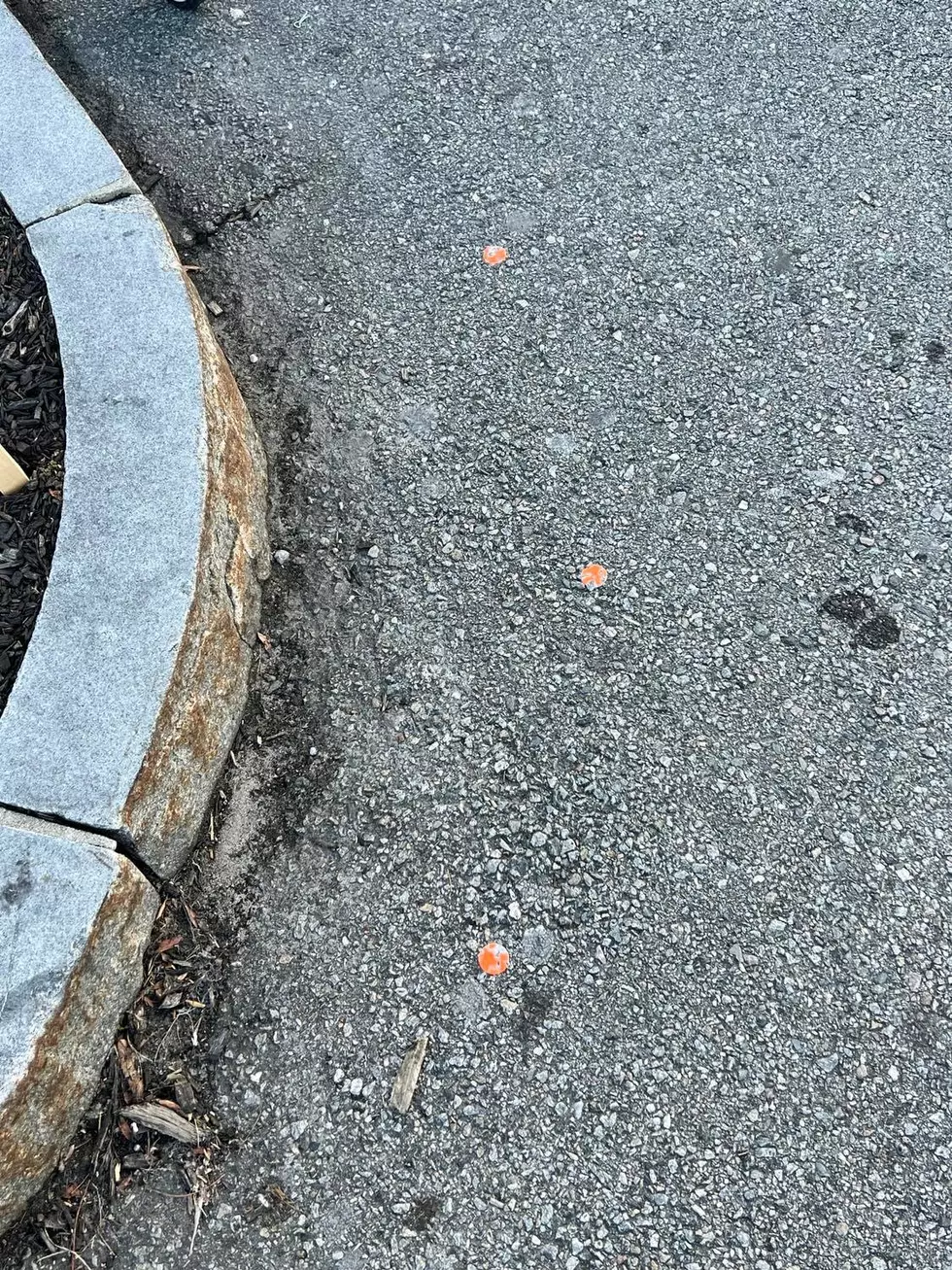 Mr. DeMoulas: Please Quit With Orange Market Basket Stickers