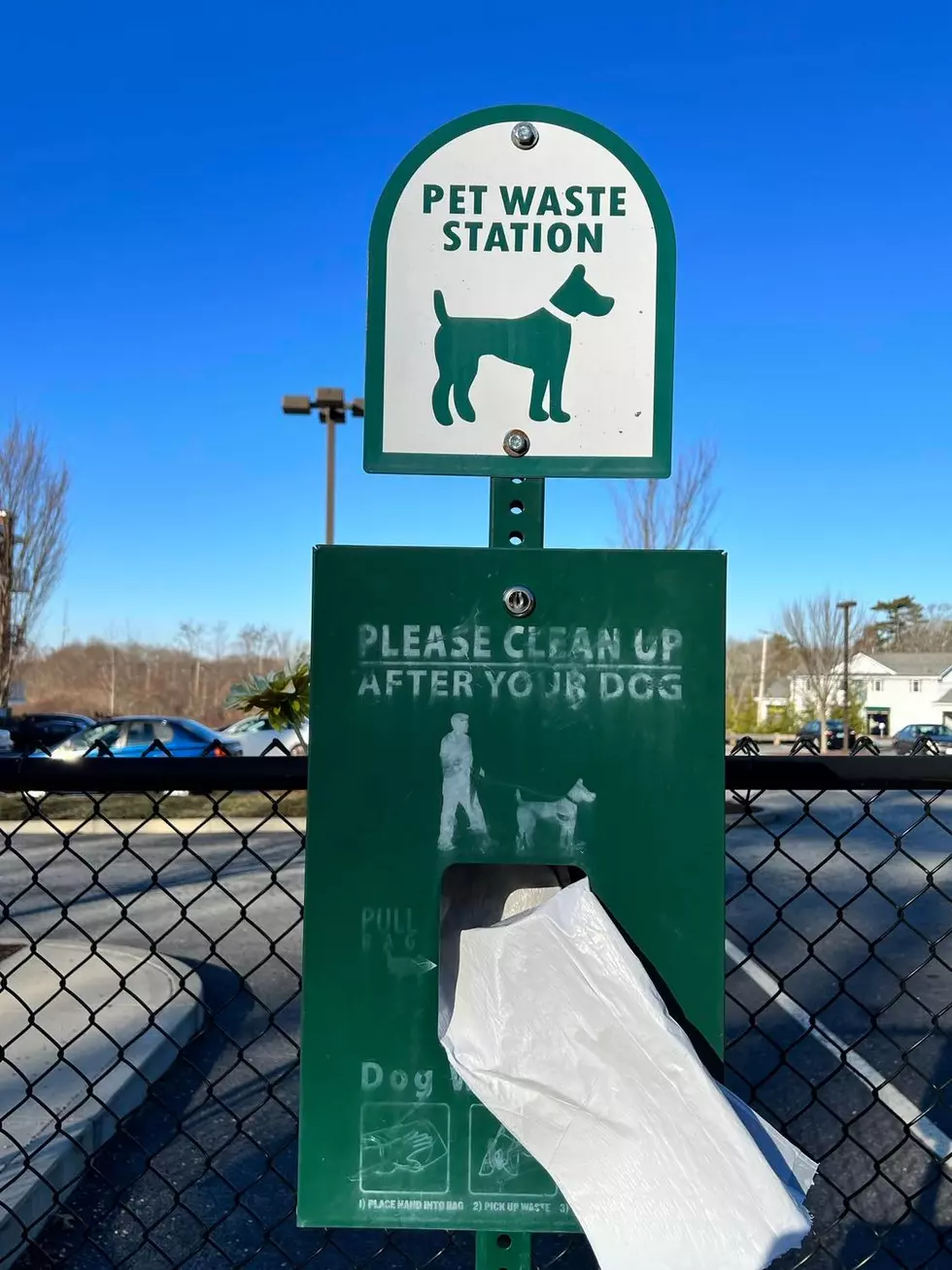 Dartmouth Hiking Trails Becoming Littered With Dog Waste