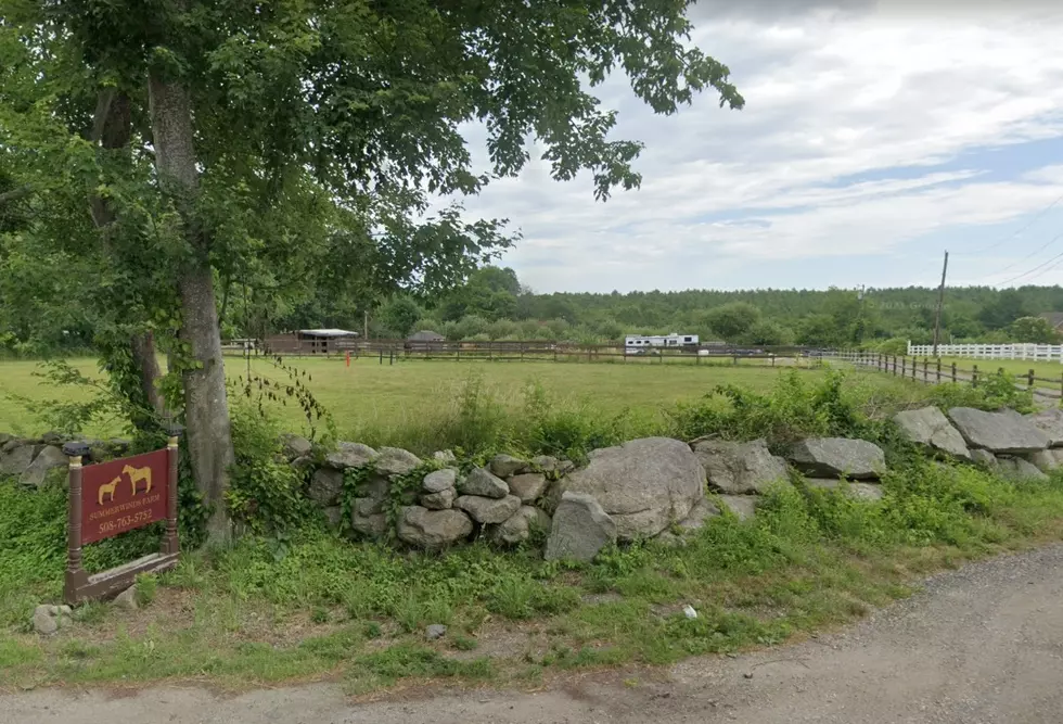 Acushnet Hunter Suffers Minor Injuries in Tree Stand Accident