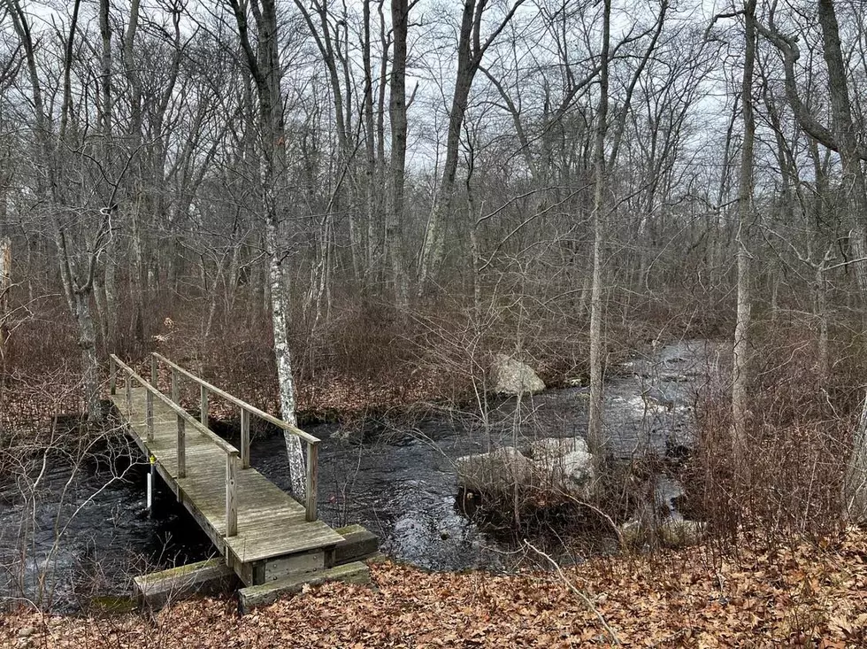 Westport-Little Compton Spot Offers Scenic, Moderate Family Nature Hike