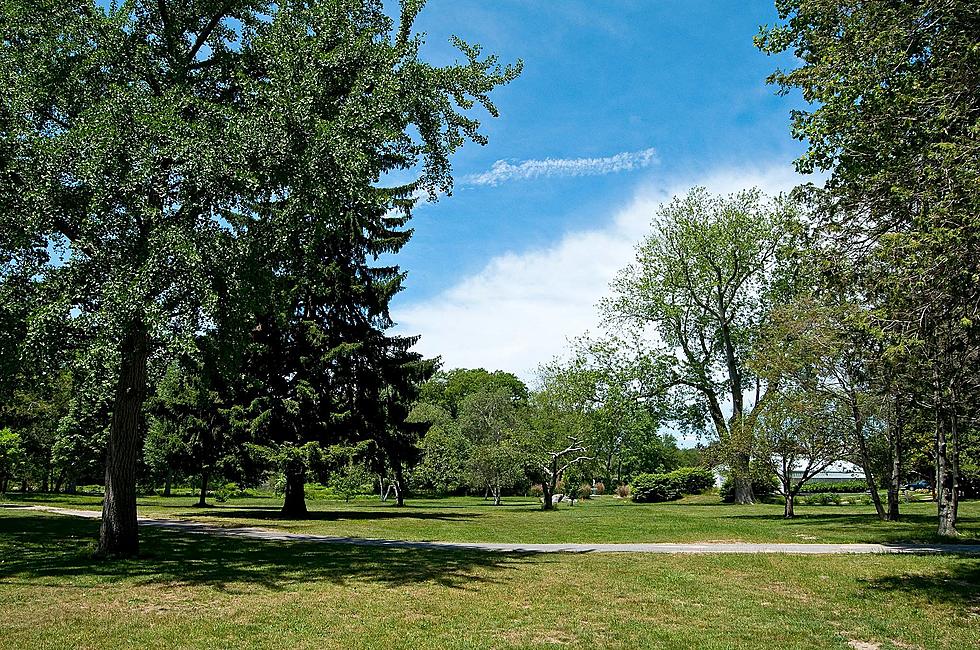 New Bedford’s Buttonwood Park Was Designed to Break Down Class Barriers