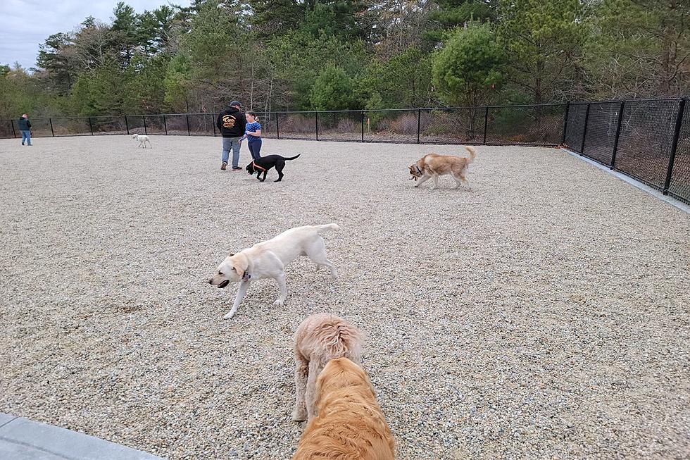 Wareham Dog Park Officially Opens to the Public