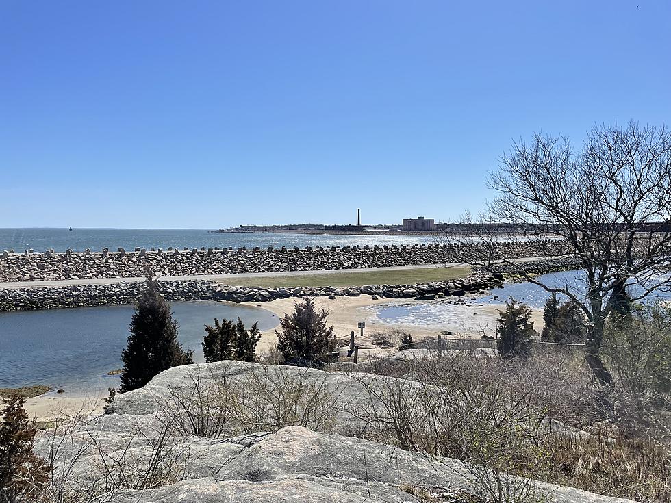 New Bedford Police Investigating Bodies Found Near Palmer Island
