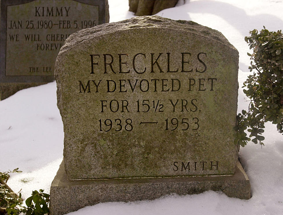 Can Massachusetts Residents Be Buried With Their Pets?