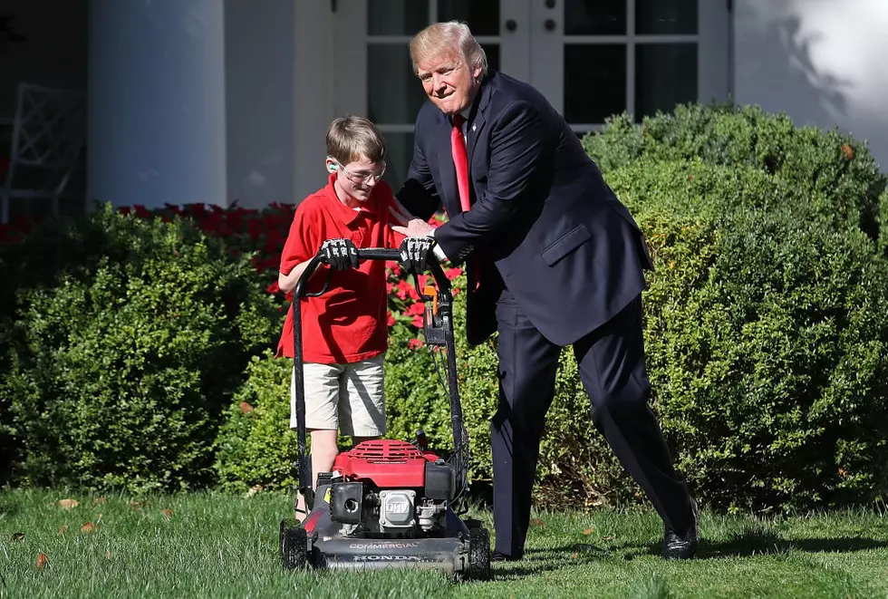 New Bedford Can Fine You If Your Lawn Exceeds This Height