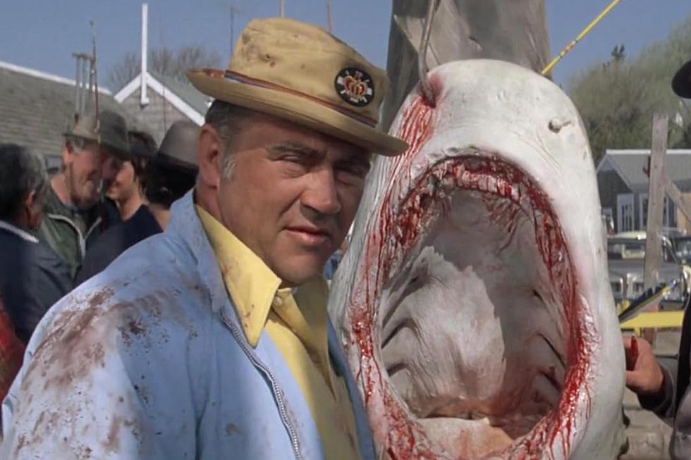 New Bedford's Connection to "Jaws"