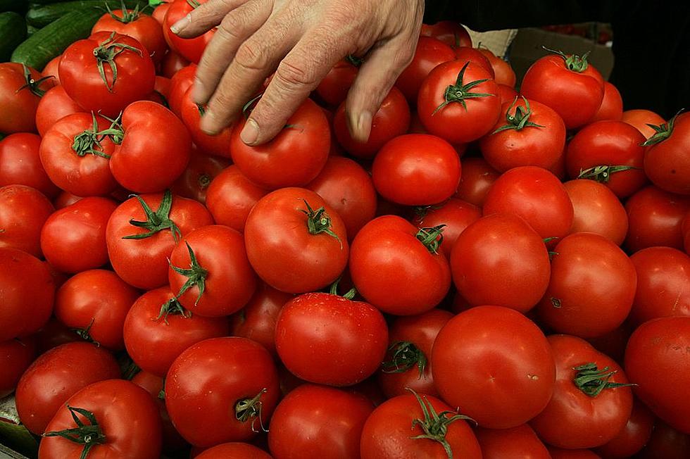 How to Find the Best Tomatoes in Massachusetts