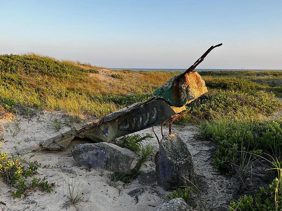 Westport Giant Cricket Stands Guard at Horseneck Beach