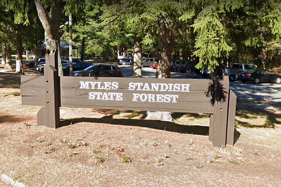 New Bedford Man Killed in Plymouth Shooting at Myles Standish State Forest