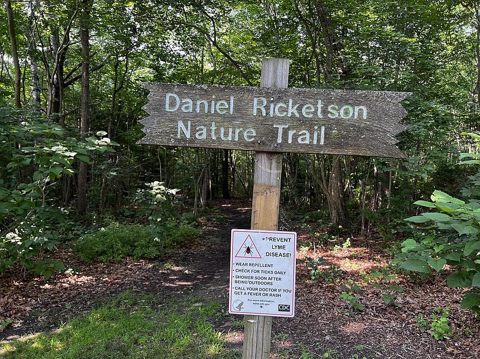New Bedford Family Hiking Trail Perfect for Little Hikers