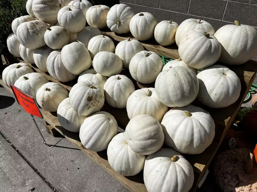 Massachusetts Pumpkin Prices Drive Halloween Spending Increase