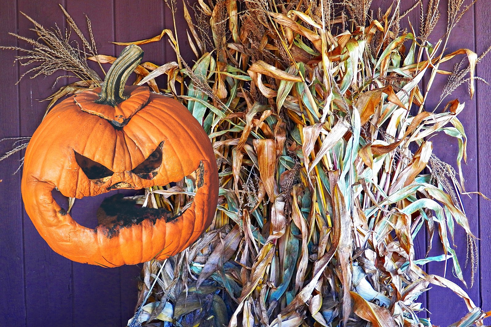 Halloween Google doodle tells the story of Jinx, the lonely ghost