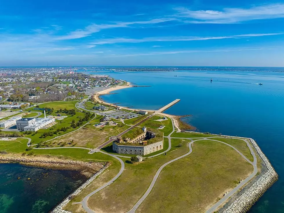 'Potentially Dangerous' Wildlife At New Bedford's Fort Taber Park
