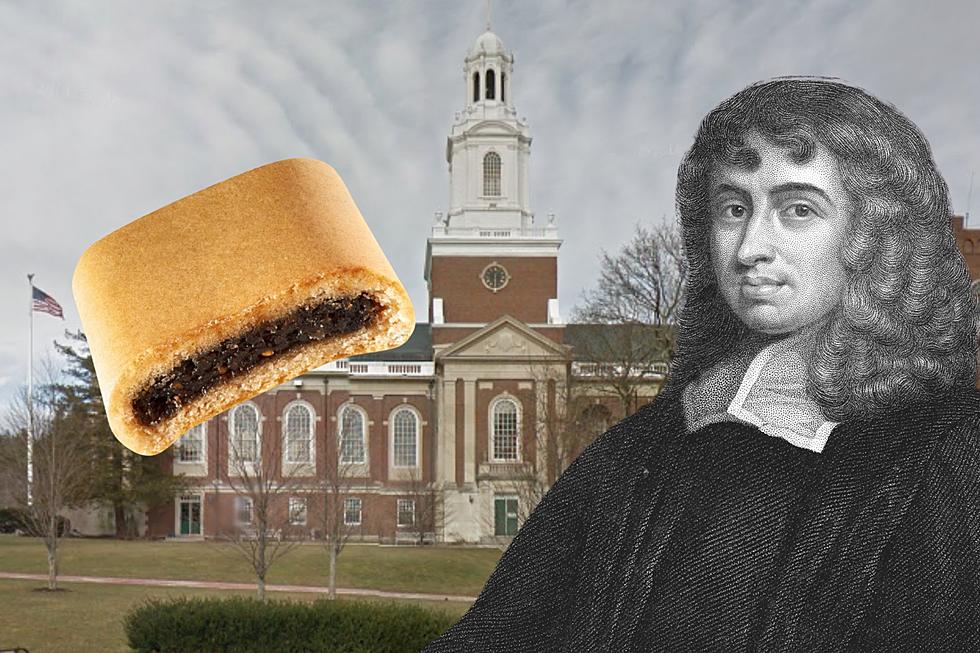 Massachusetts Is the Birthplace of Fig Newtons